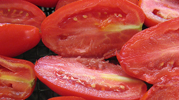 Qualità nutrizionali del Pomodoro